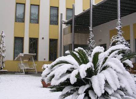 Отель Apartment Balena Viareggio 