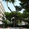 Отель Mediterranean Suites 