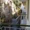 Отель Apartamentos Botanic 