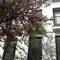 Отель Orange 3 House - Chiado Bed Breakfast Suites