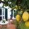 Отель B&B Ravello Rooms 