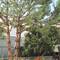 Отель Go Hostel Lisbon