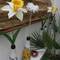 Отель Hostal Regina, Blanes
