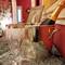 Отель 4 Quarti B&B 