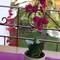 Отель Kastoria Hotel Apartment