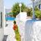 Отель Mykonos Beach Hotel