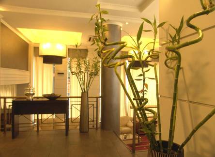 Отель Minoa Athens Hotel