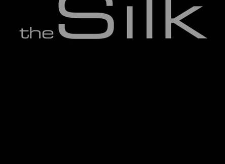 Отель Hotel The Silk 
