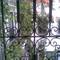 Отель Bougainvillea Riad