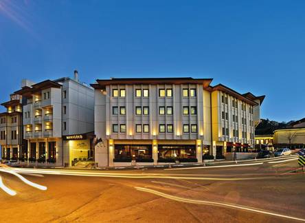 Отель Marigold Thermal Spa Hotel Bursa