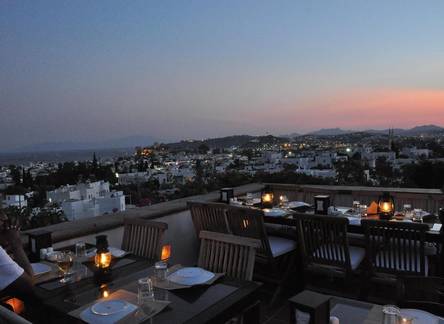 Отель El Vino Hotel & Suites