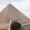 Отель Sphinx Guest House Giza