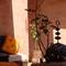 Отель Riad Menthe Et Citron 