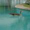 Отель Woburn Residence Club