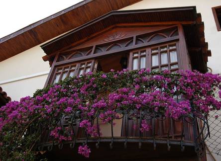 Отель Villa Daffodil Hotel