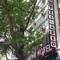 Отель Hotel Abro Necatibey