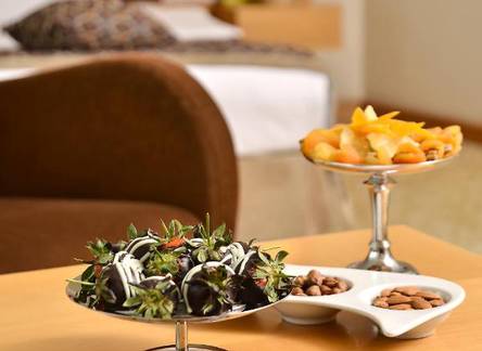 Отель Ankara Plaza Hotel