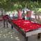 Отель Red Rose Hotel