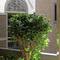 Отель Riad Dar One