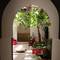 Отель Riad Djebel