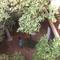 Отель Riad Hidden