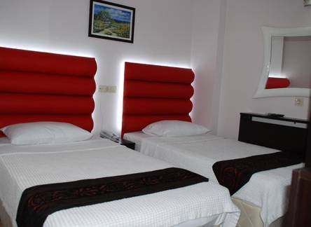 Отель Hotel Timya