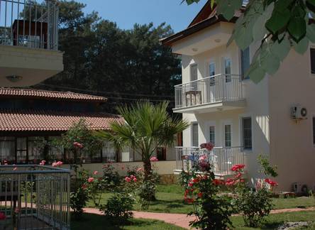 Отель Tolay Hotel