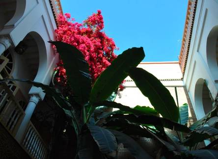 Отель Riad Habib