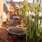 Отель Riad Aloes