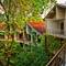 Отель Pelwehera Village Resort, Dambulla