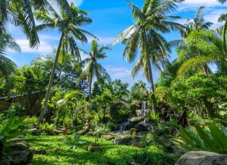 Отель CocoPalm Beach Resort & Spa