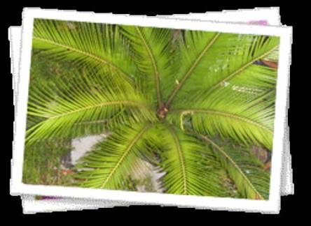 Отель Hotel Raj Bed & Breakfast 