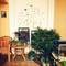 Отель Seven Seas Youth Hostel 