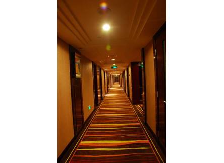 Отель Century Mandarin Hotel 