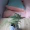 Отель Oldtimes Youth Hostel 