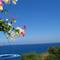 Отель Idemen Beach Club