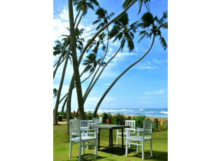Отель Saffron Beach Hotel 