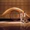 Отель The Peninsula Tokyo