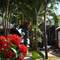 Отель Mai Am Guest House 