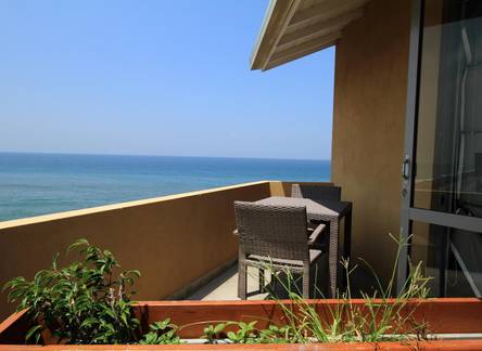 Отель The Ocean Front