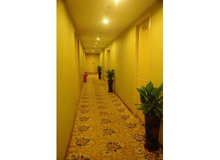 Отель Halin Hotel 