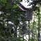Отель Permai Rainforest Resort 