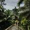 Отель Sepilok Jungle Resort, Sandakan