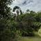 Отель Sepilok Jungle Resort, Sandakan