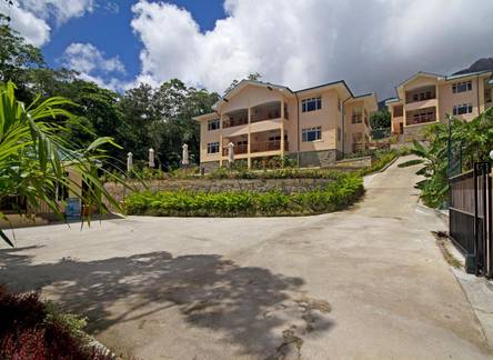Отель The Palm Seychelles