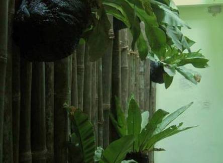 Отель Woodpecker Lodge 
