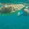 Отель Malama Beach Holiday Village 