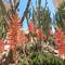 Отель Malama Beach Holiday Village 
