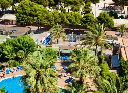 Отель Hotel Senses Palmanova