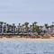 Отель Oasis Port Ghalib - By Pickalbatros